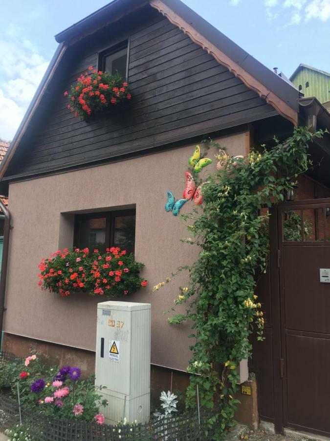 Maison Rosmina Braşov Exterior foto